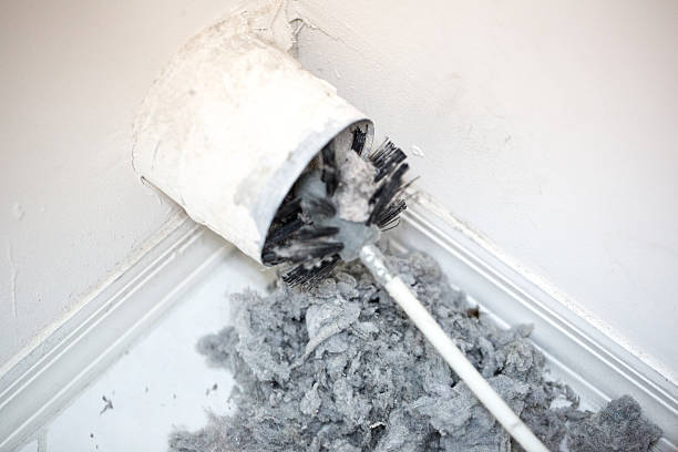 Best Affordable Duct Cleaning Services  in Belhaven, NC